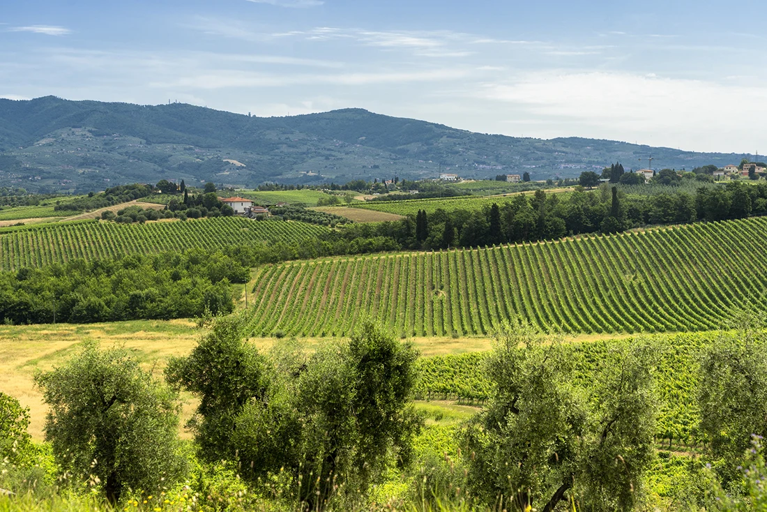 Toscana paesaggio